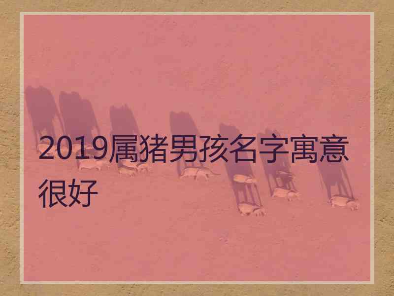 2019属猪男孩名字寓意很好