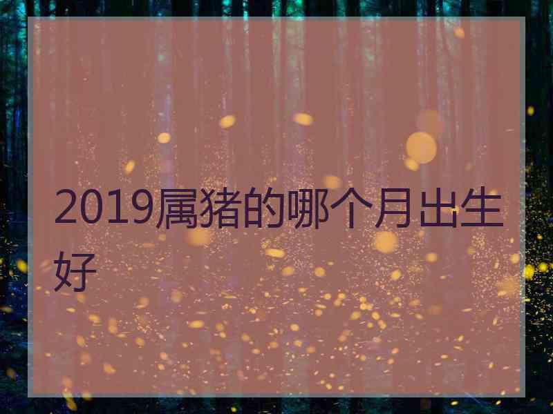 2019属猪的哪个月出生好