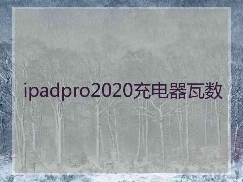 ipadpro2020充电器瓦数