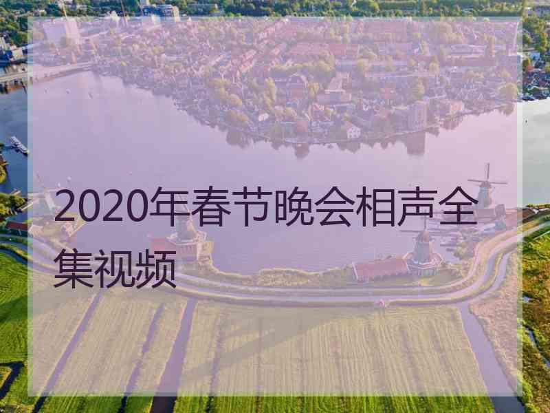 2020年春节晚会相声全集视频