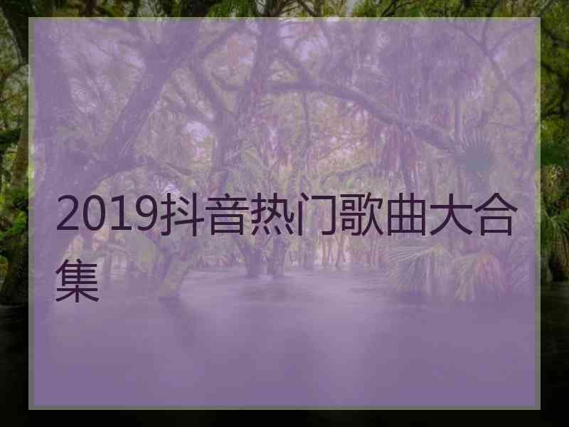 2019抖音热门歌曲大合集