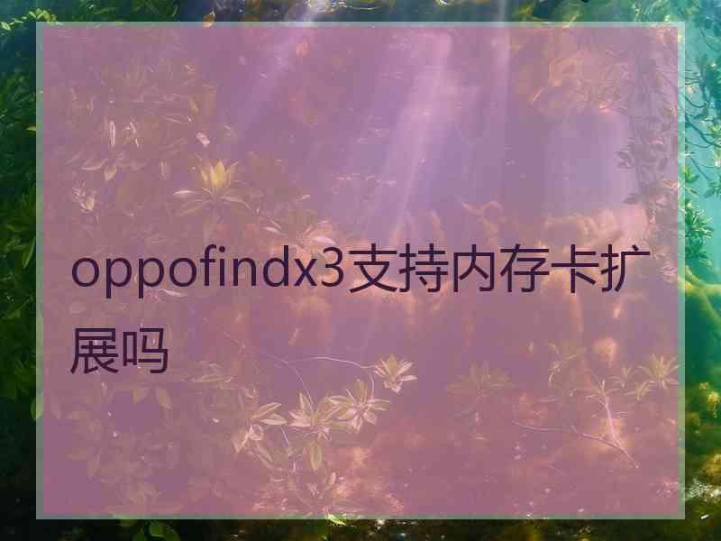 oppofindx3支持内存卡扩展吗