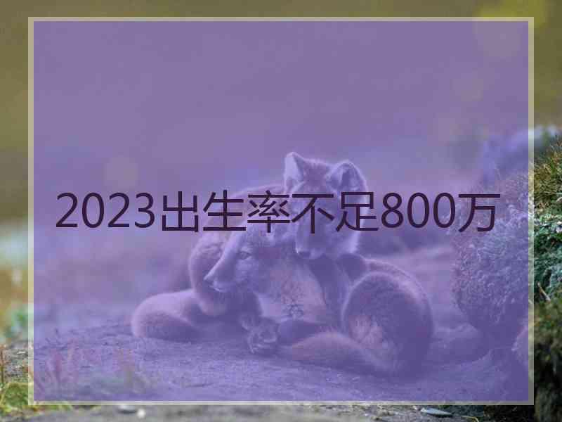 2023出生率不足800万