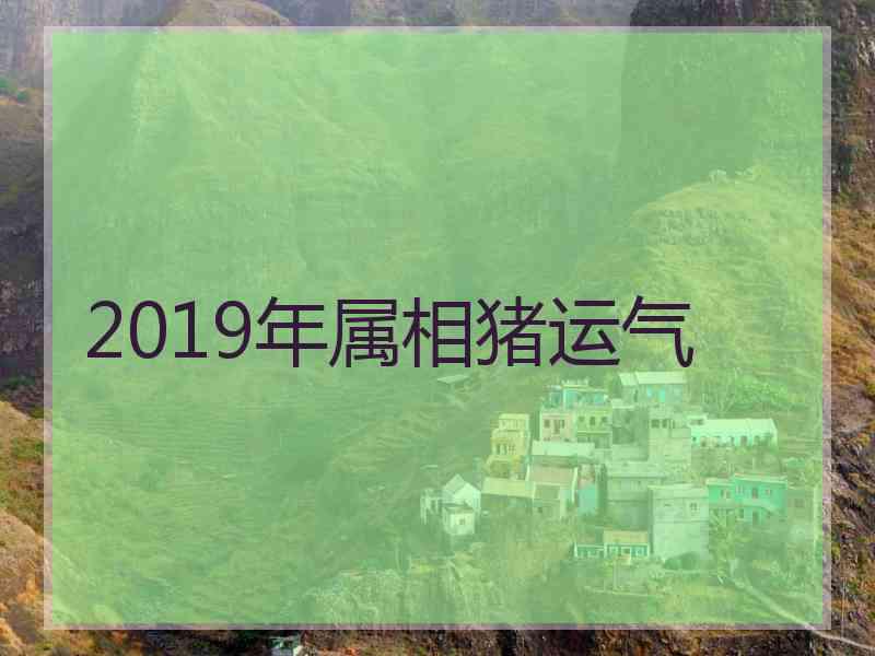 2019年属相猪运气