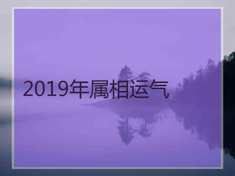 2019年属相运气