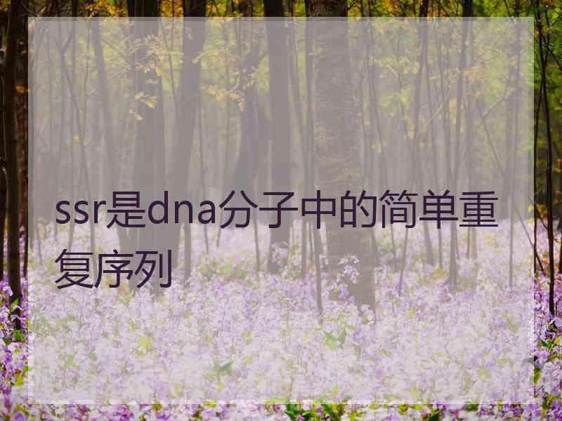 ssr是dna分子中的简单重复序列