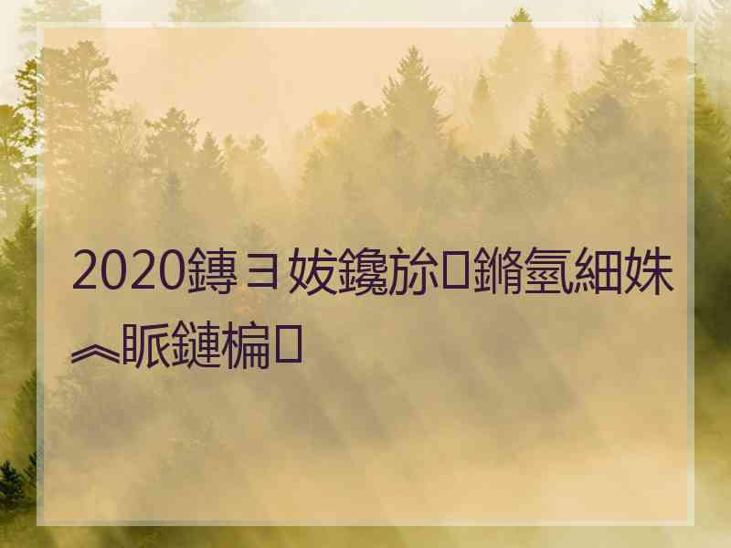 2020鏄ヨ妭鑱旀鏅氫細姝︽眽鏈楄