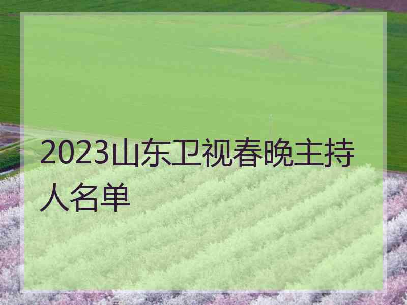 2023山东卫视春晚主持人名单