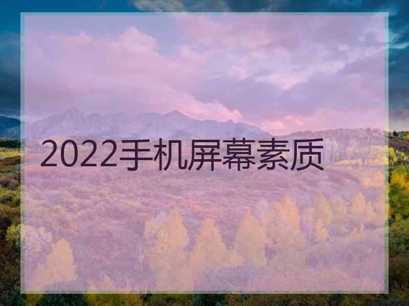 2022手机屏幕素质