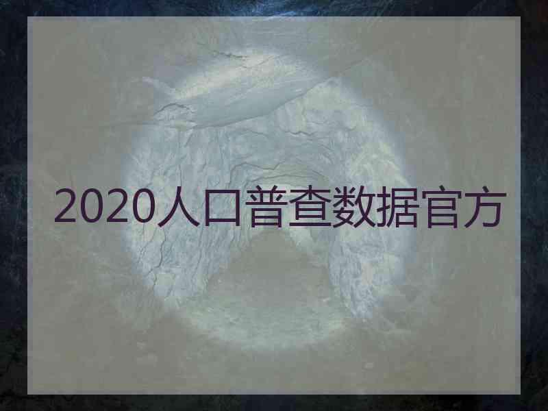 2020人口普查数据官方