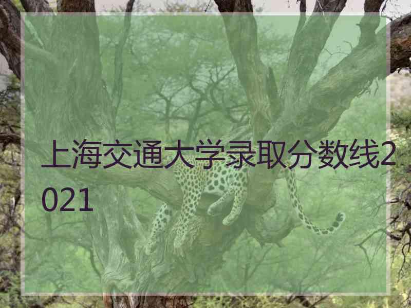 上海交通大学录取分数线2021