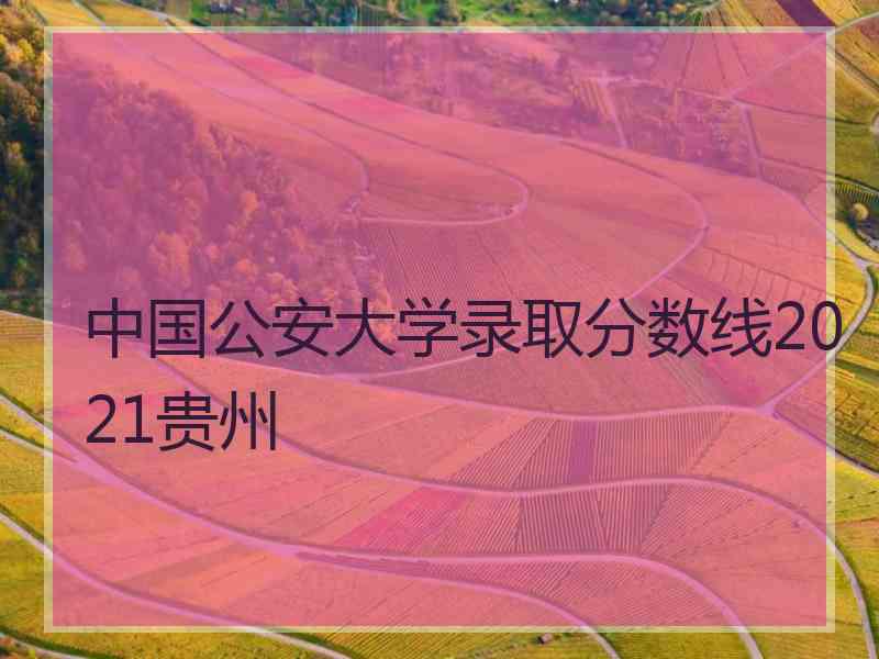 中国公安大学录取分数线2021贵州