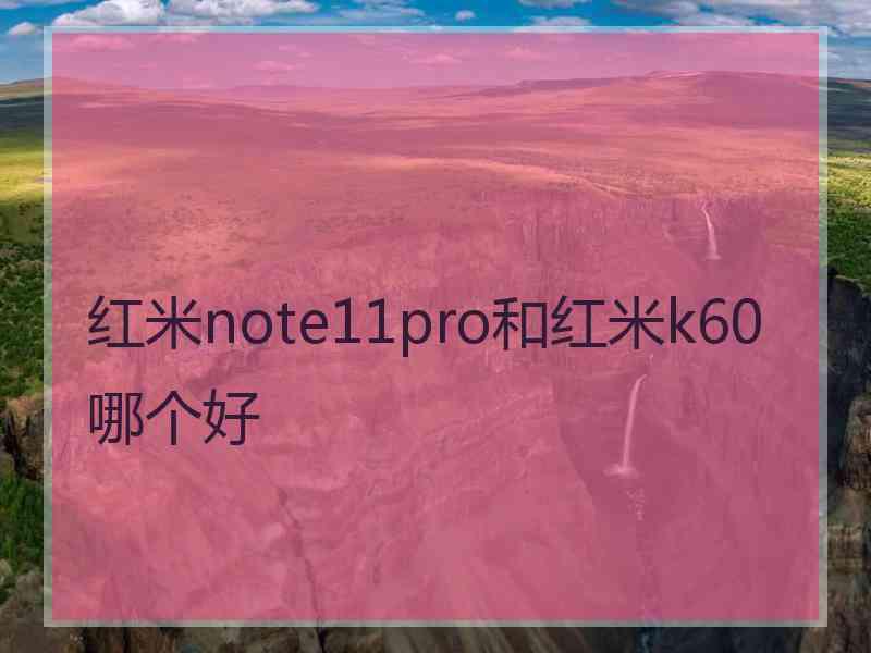 红米note11pro和红米k60哪个好