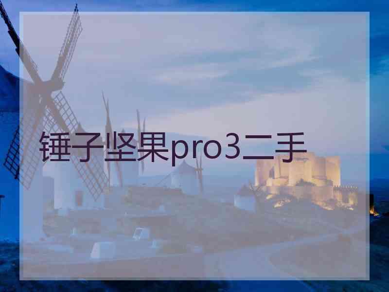 锤子坚果pro3二手