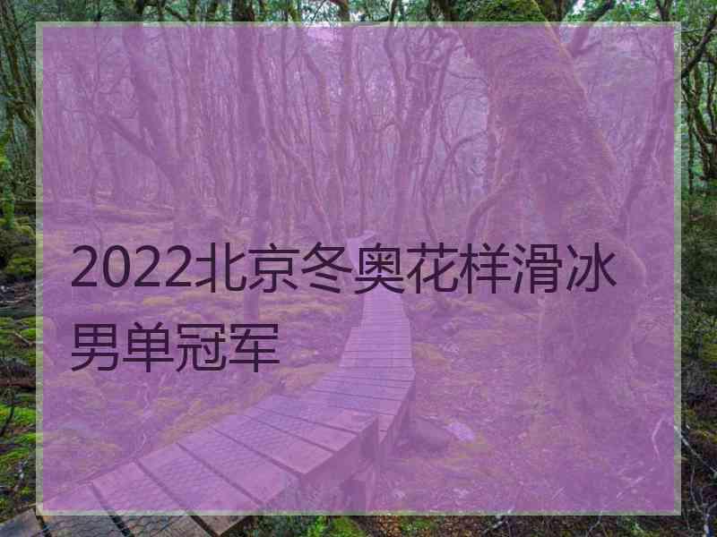 2022北京冬奥花样滑冰男单冠军