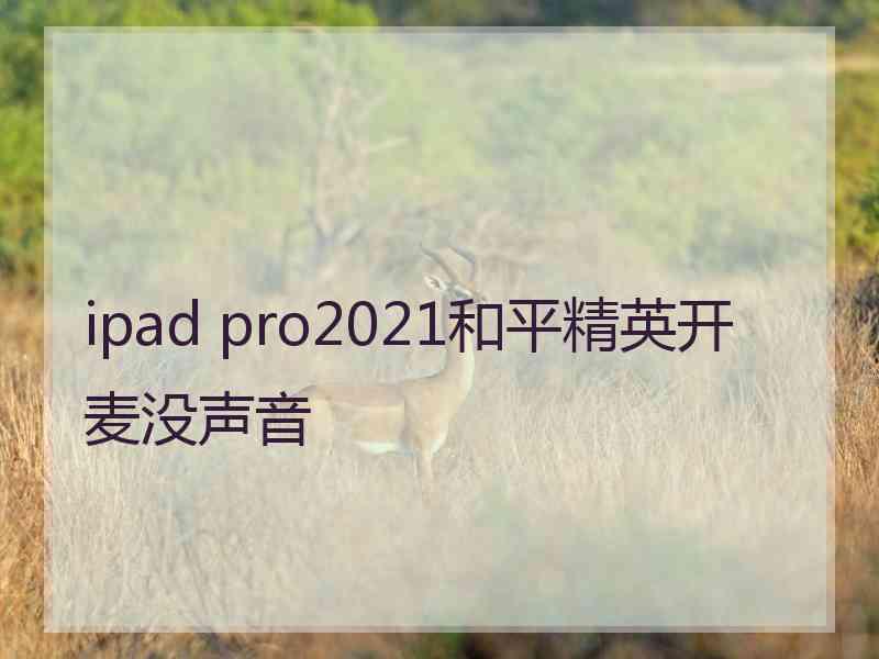 ipad pro2021和平精英开麦没声音