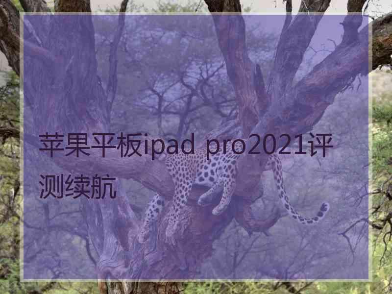 苹果平板ipad pro2021评测续航