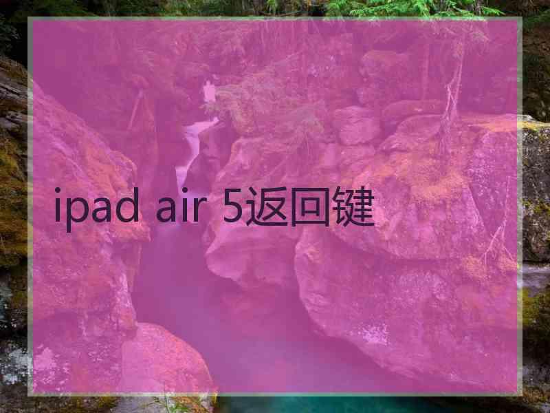 ipad air 5返回键