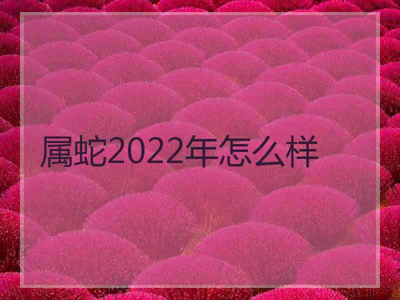 属蛇2022年怎么样