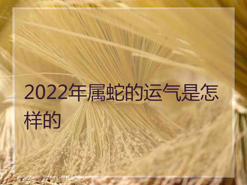 2022年属蛇的运气是怎样的