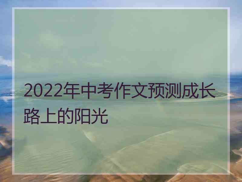 2022年中考作文预测成长路上的阳光