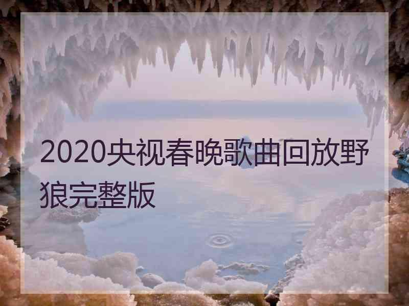 2020央视春晚歌曲回放野狼完整版