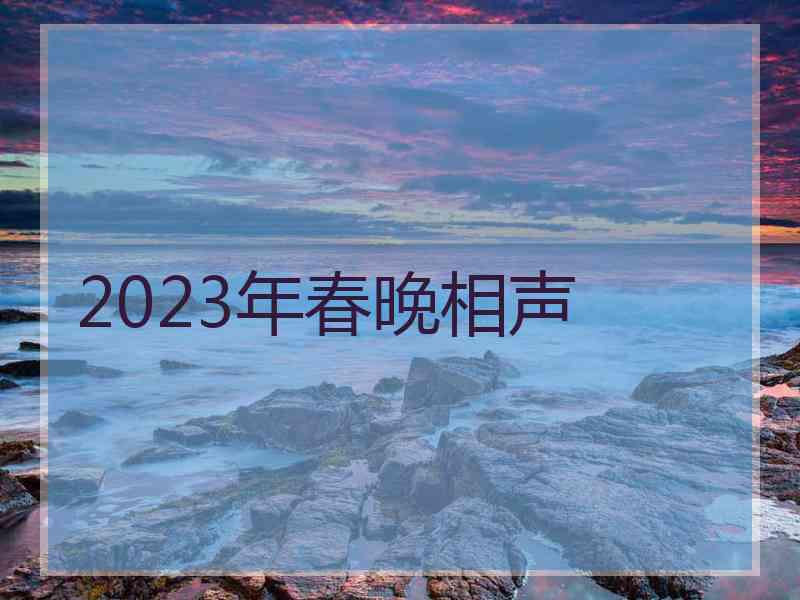 2023年春晚相声