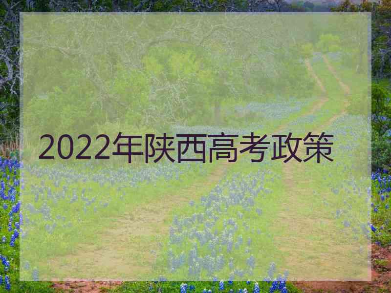 2022年陕西高考政策