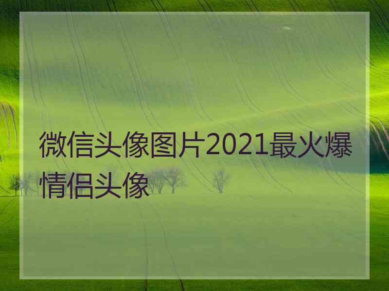 微信头像图片2021最火爆情侣头像