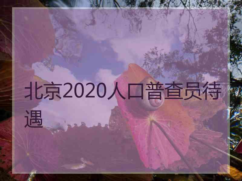 北京2020人口普查员待遇