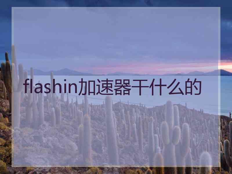 flashin加速器干什么的