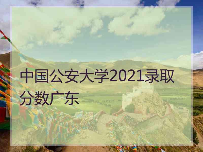 中国公安大学2021录取分数广东