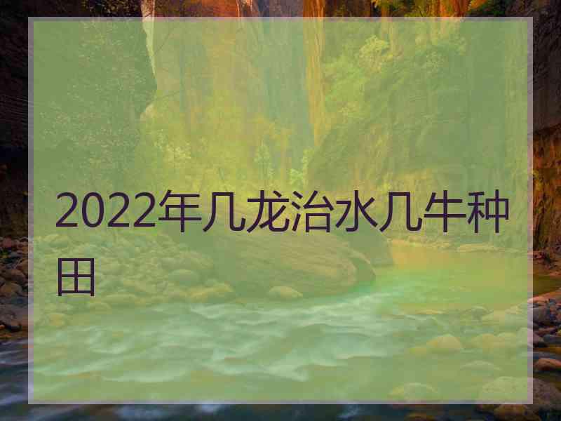 2022年几龙治水几牛种田