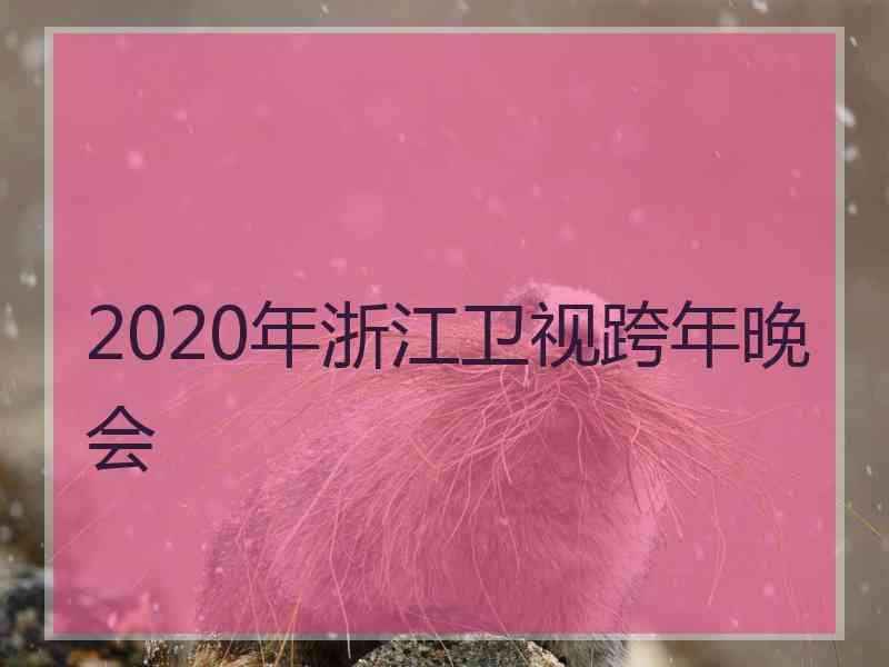 2020年浙江卫视跨年晚会