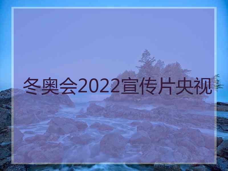 冬奥会2022宣传片央视