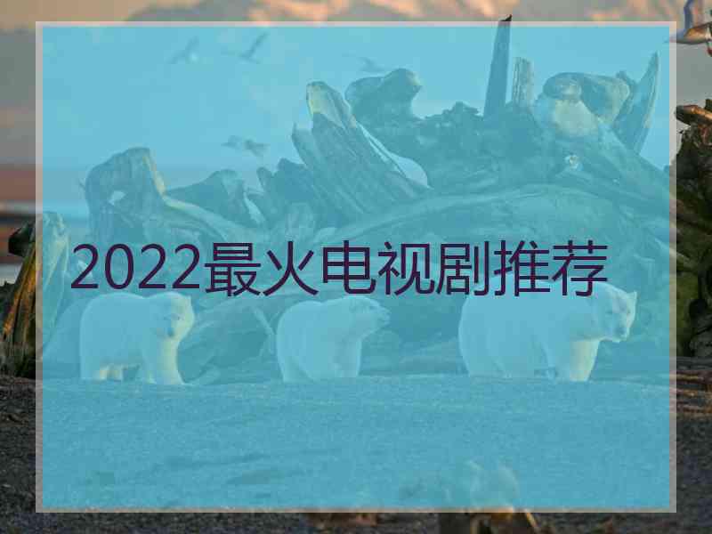 2022最火电视剧推荐