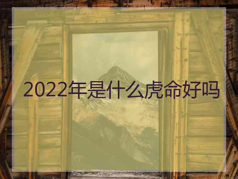 2022年是什么虎命好吗