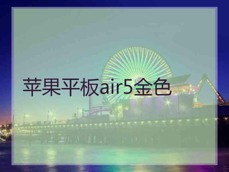 苹果平板air5金色