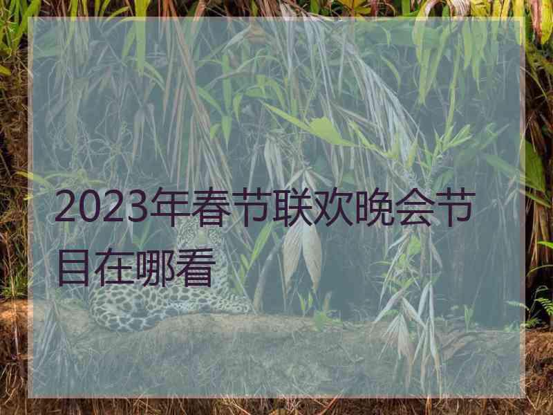 2023年春节联欢晚会节目在哪看