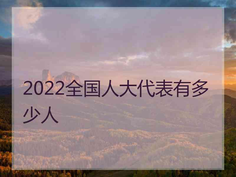 2022全国人大代表有多少人