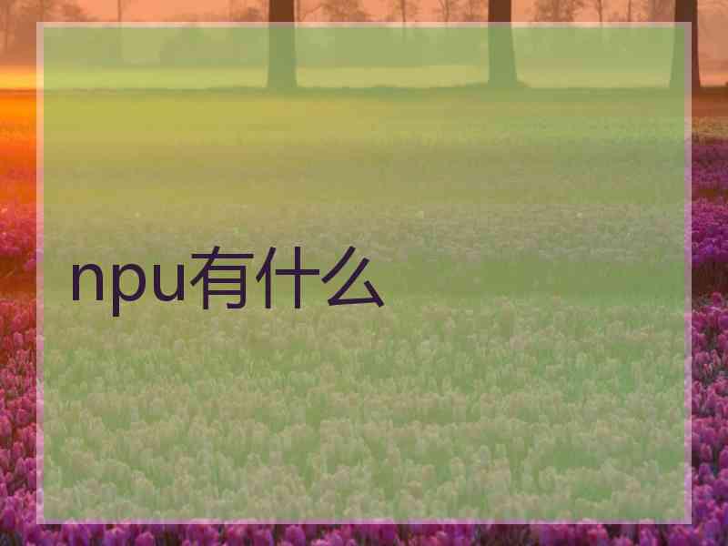 npu有什么