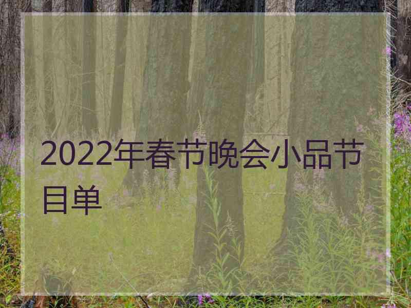 2022年春节晚会小品节目单