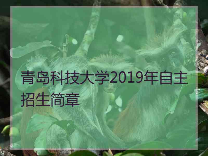 青岛科技大学2019年自主招生简章