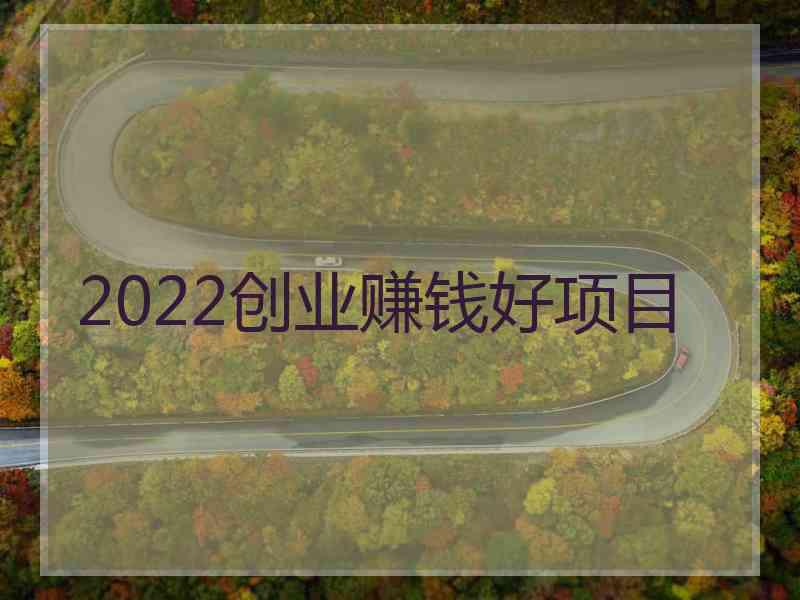 2022创业赚钱好项目