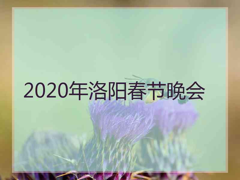 2020年洛阳春节晚会