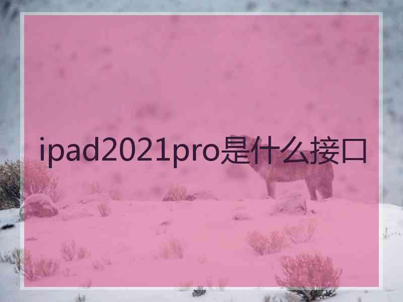 ipad2021pro是什么接口