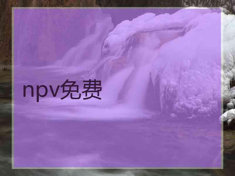 npv免费