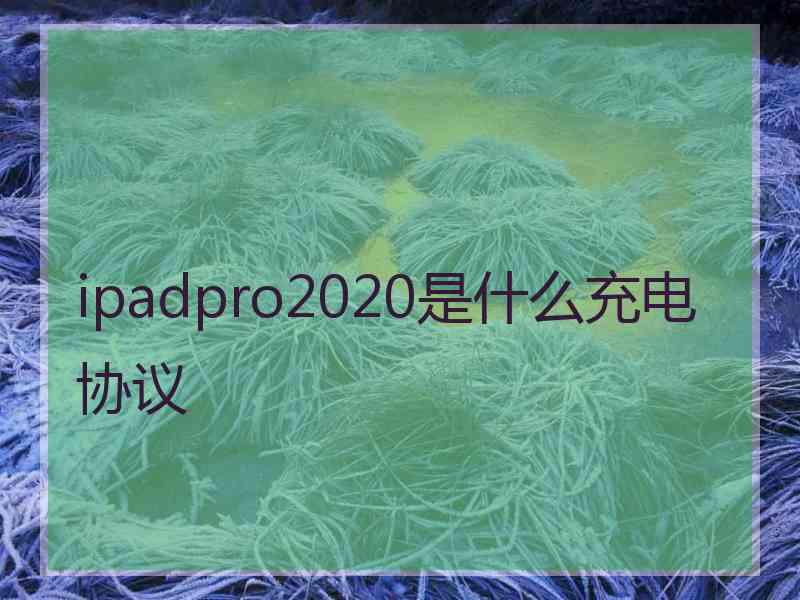 ipadpro2020是什么充电协议