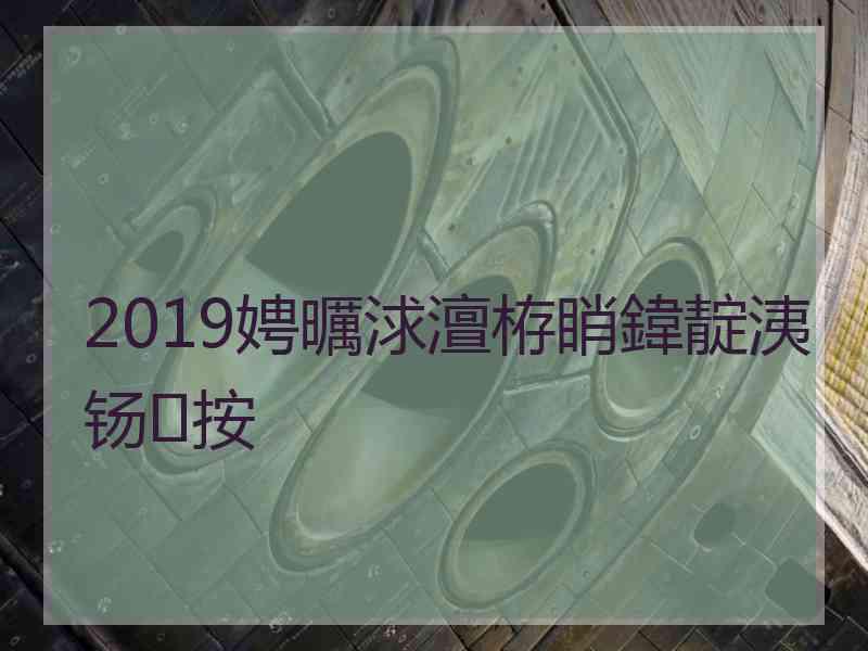 2019娉曞浗澶栫睄鍏靛洟钖按