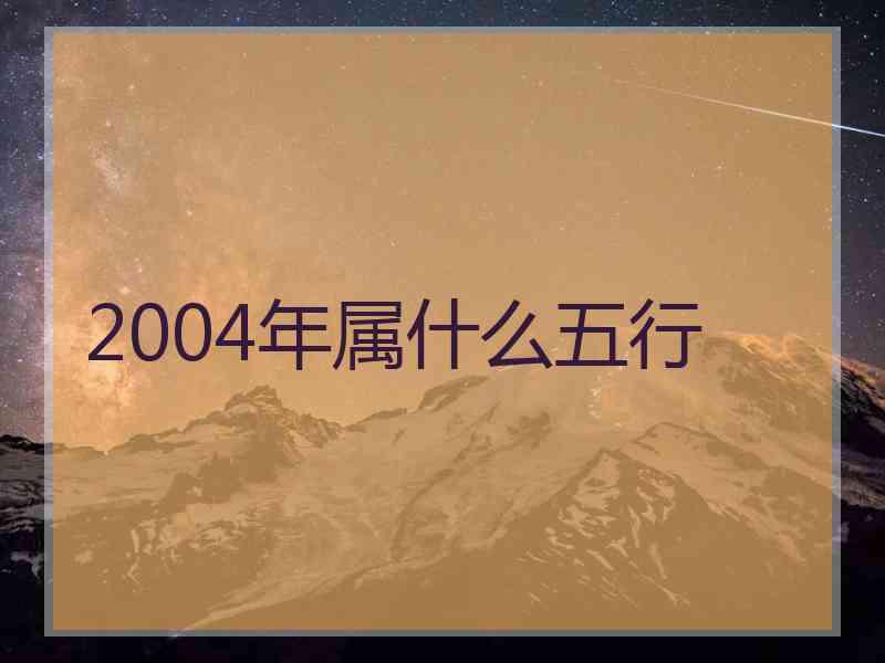 2004年属什么五行